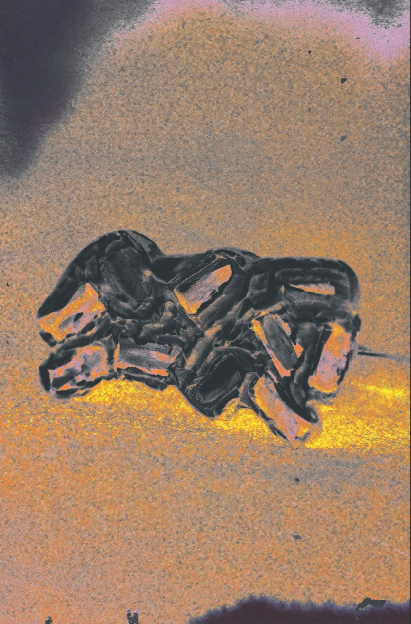 GA·DASHI | MULTIDISCIPLINARY ART
