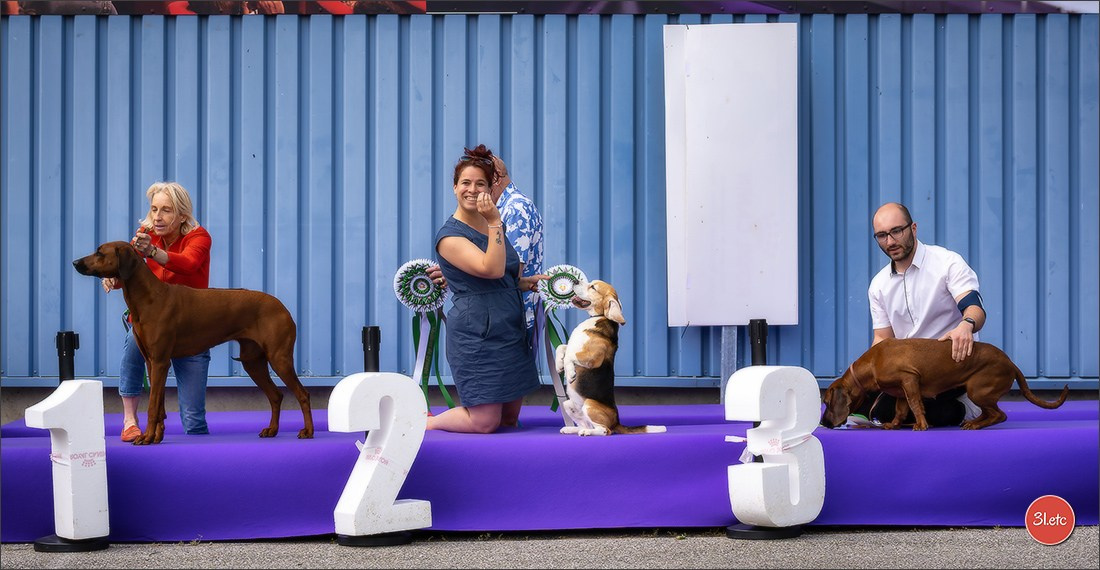 Expo canine 🇫🇷 Valence 02-03/05/2026