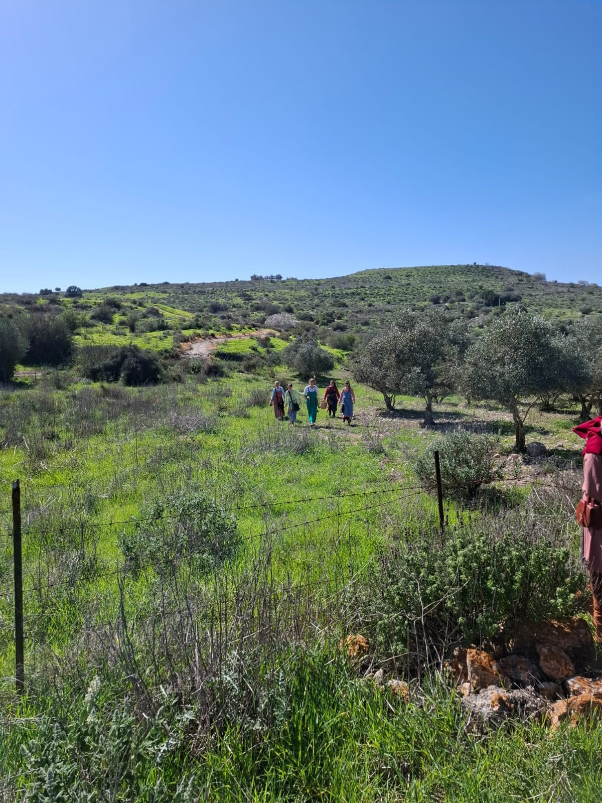 Женский поход с детьми — Клуб «Нортман» | реконструкция. КРиС «Нортман»