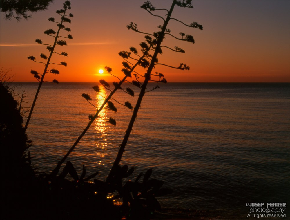 Sunrise, Costa Brava, Catalunya