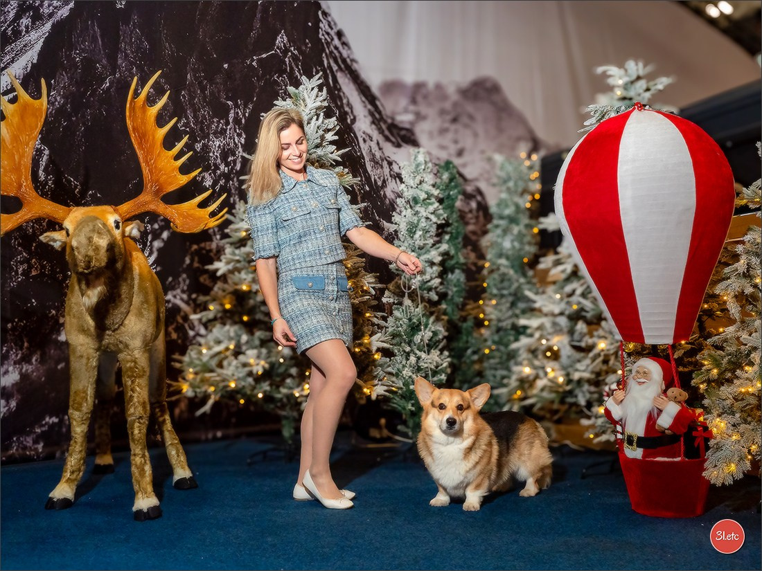 13-14.12.2025   🇧🇪   Brussels Dog Show. Photographe à Strasbourg | Portraits, Studio, Enfants, Événements