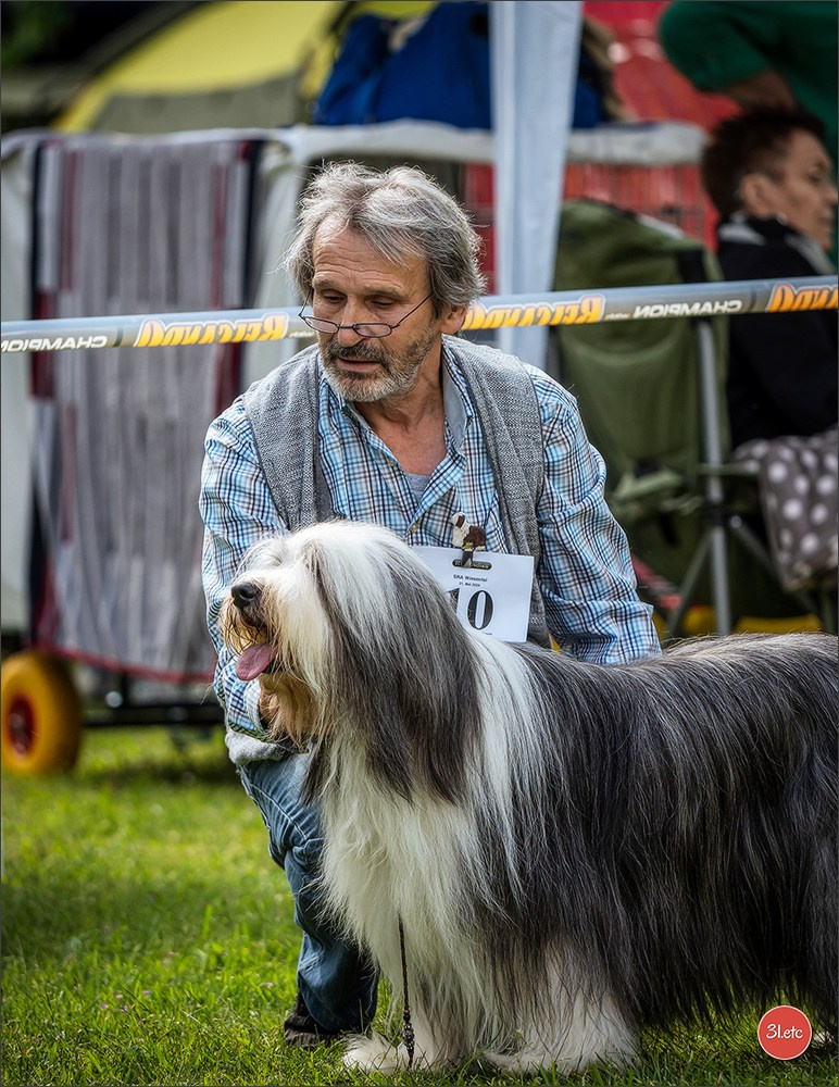 Photographie animalière. Photographe à Strasbourg | Portraits, Studio, Enfants, Événements