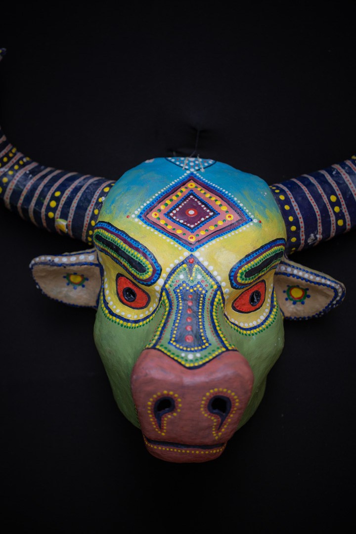 Krishna Janmashtami. Samid Ali