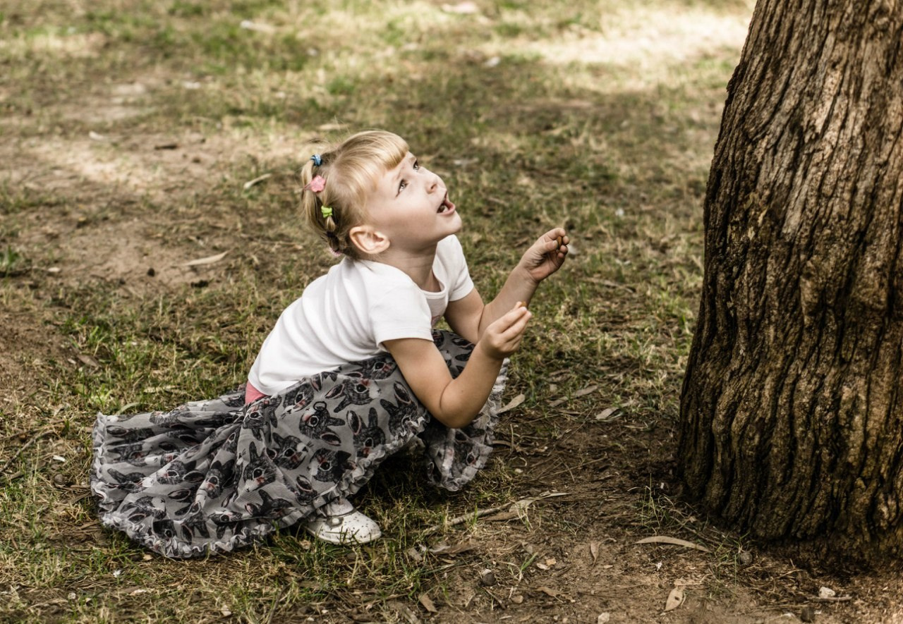 Magic moments. Alba del Norte Studio