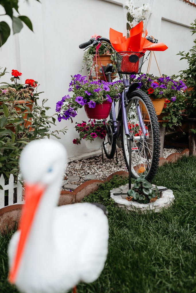 Ani frumoși. Fotograf Profesionist Piatra Neamț, Roman, Târgu Neamț, Bicaz, Neamț | Studio, Nuntă, Botez, Eveniment | FotoACTIV