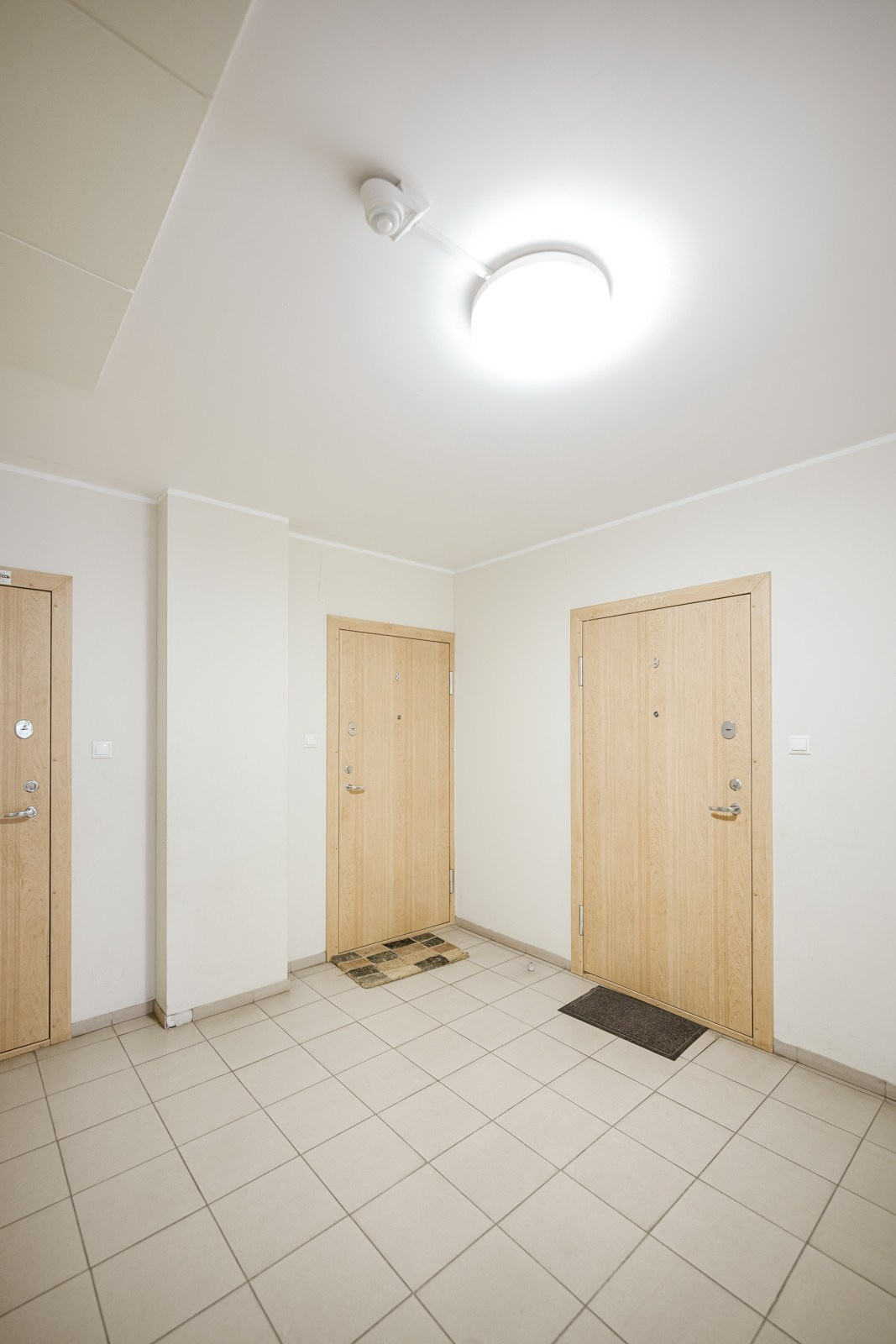 Povilionio. Elina Sapiega fotografė Vilniuje