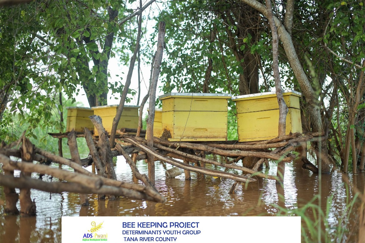 Documentary Projects. Studio Afri | NGO Storytelling, Photography & Videography in Mombasa