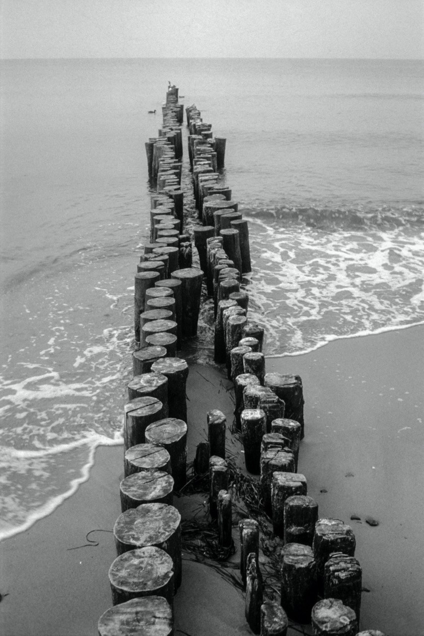 Sacra Natura. Katerina Kiper Photography