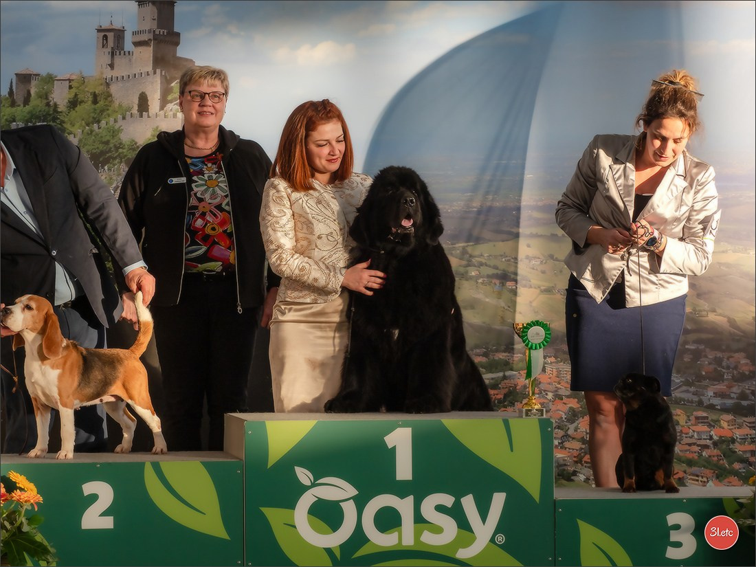 Dog Show  🇮🇹  San Marino. Photographe à Strasbourg | Portraits, Studio, Enfants, Événements