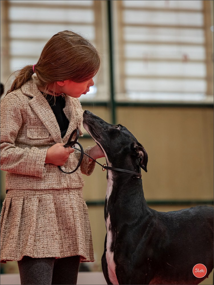 Expo canine  🇫🇷  Chateauroux 25-26/10/2025. Photographe à Strasbourg | Portraits, Studio, Enfants, Événements