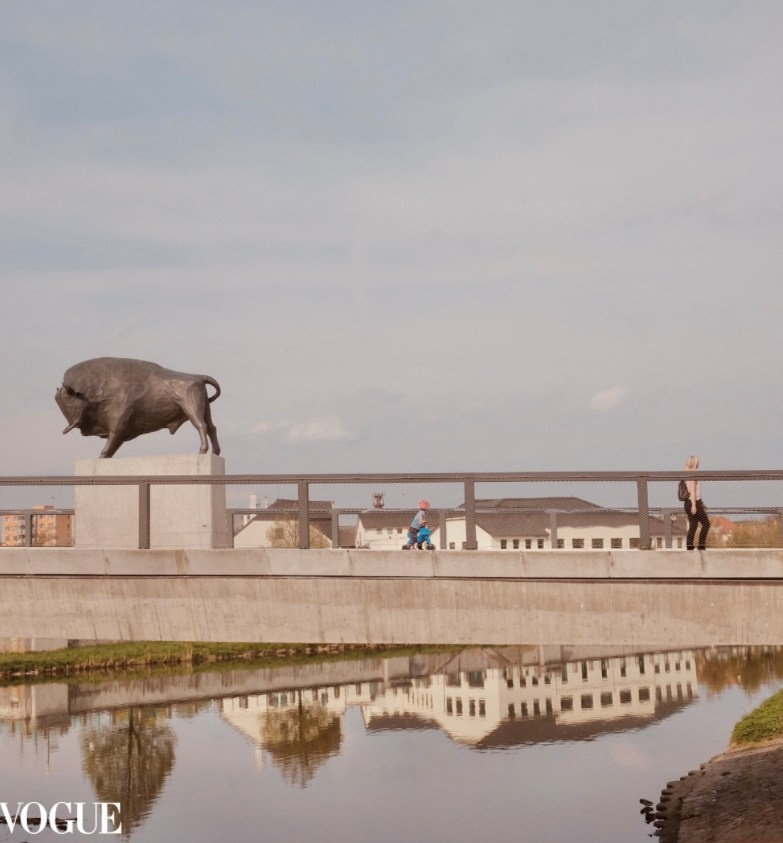 Портретный фотограф Алена Новгородцева