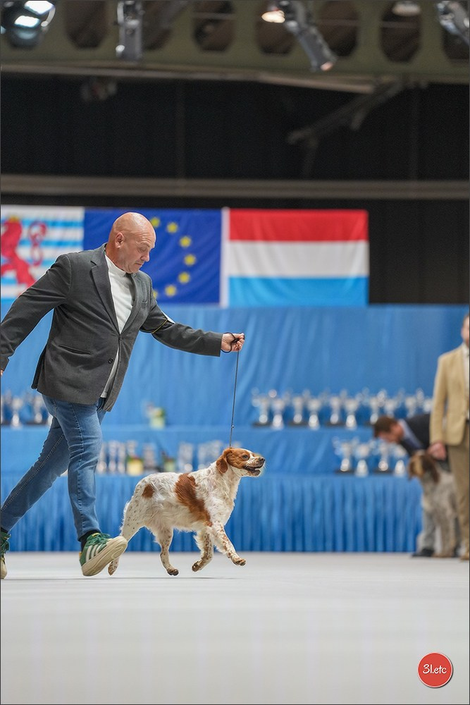 🇱🇺 LUXEMBOURG 🇱🇺 International Dog Show 4-5/04/2026. Photographe à Strasbourg | Portraits, Studio, Enfants, Événements
