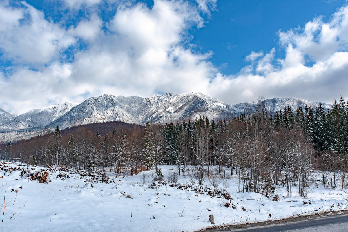 Călătorie. Daniel Hașiegan