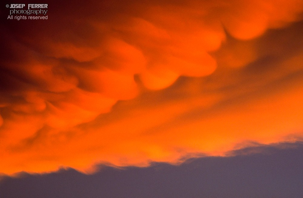 Mamatocumulus at sunset