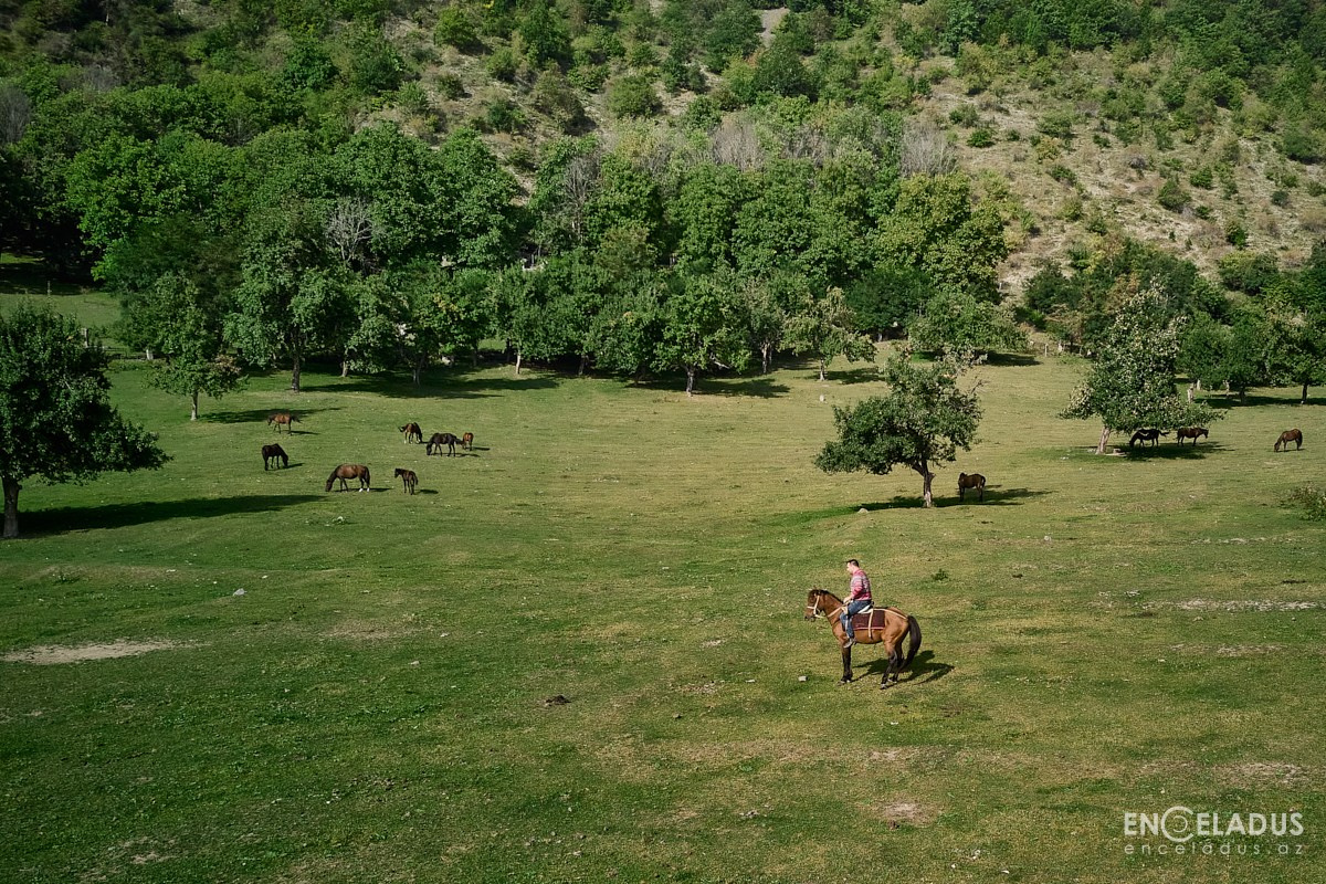 Team buildings. Photographer in Baku Kamran Enceladus