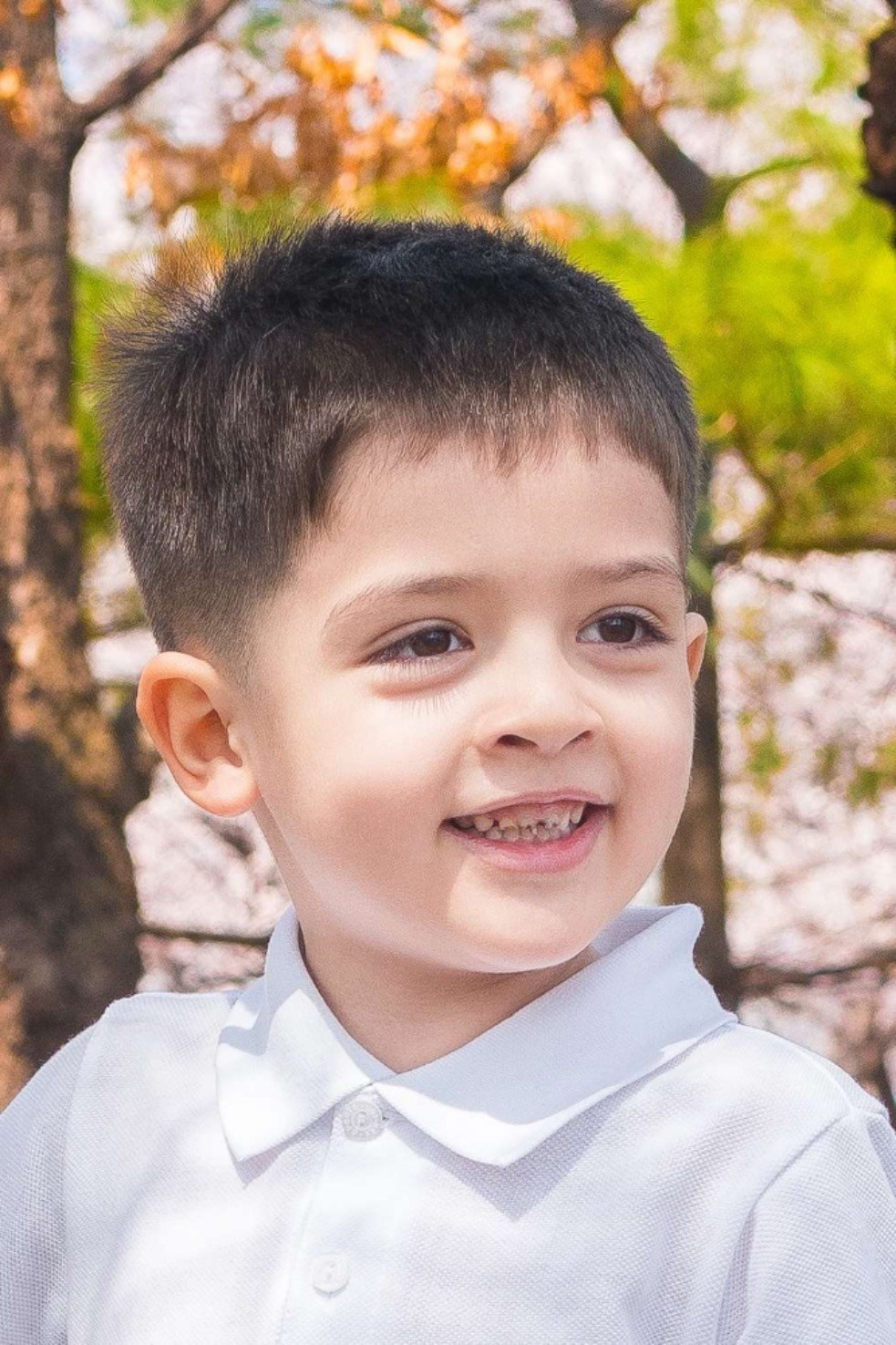 Семейная фотосессия. Кемаль. Посын. Студия декора «Нарния»