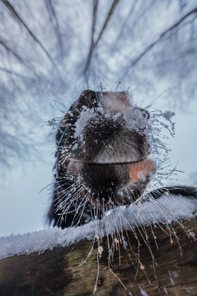 Работы учеников. Фотограф и преподаватель фотографии в Белграде