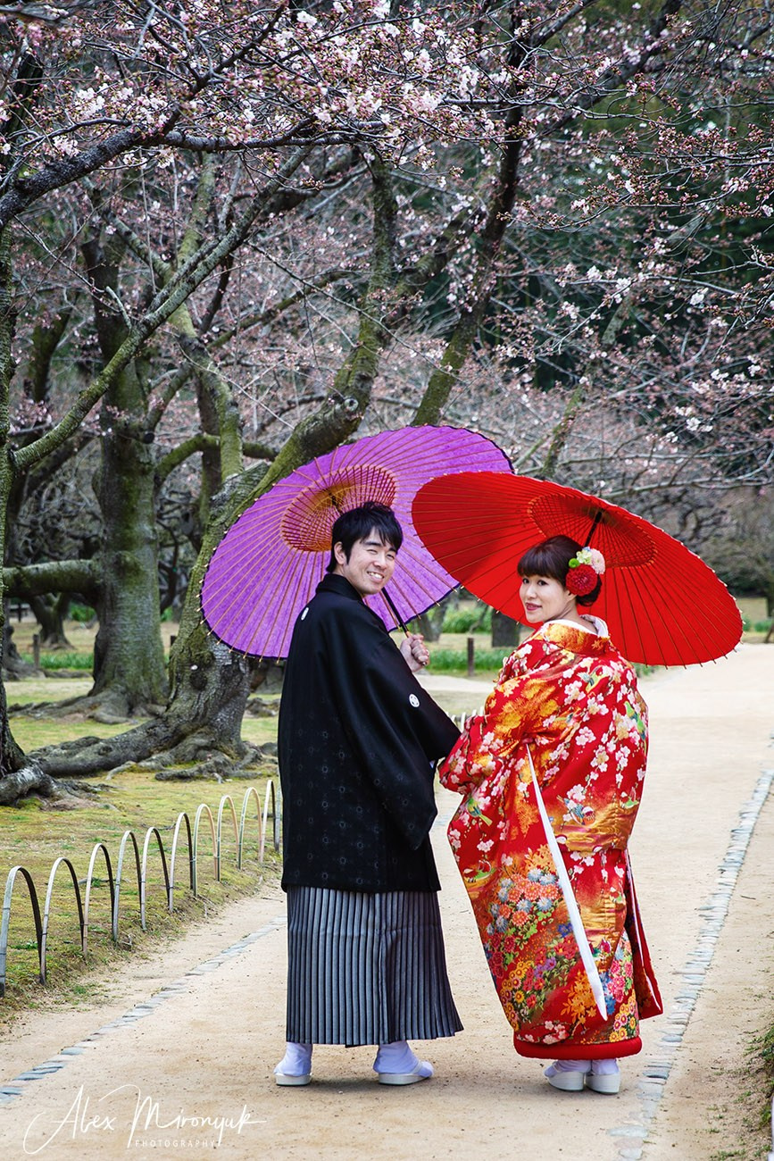 Hanami Season in Japan. Pet, Senior, Landscape, portrait studio, photographer in Miami and Sou
