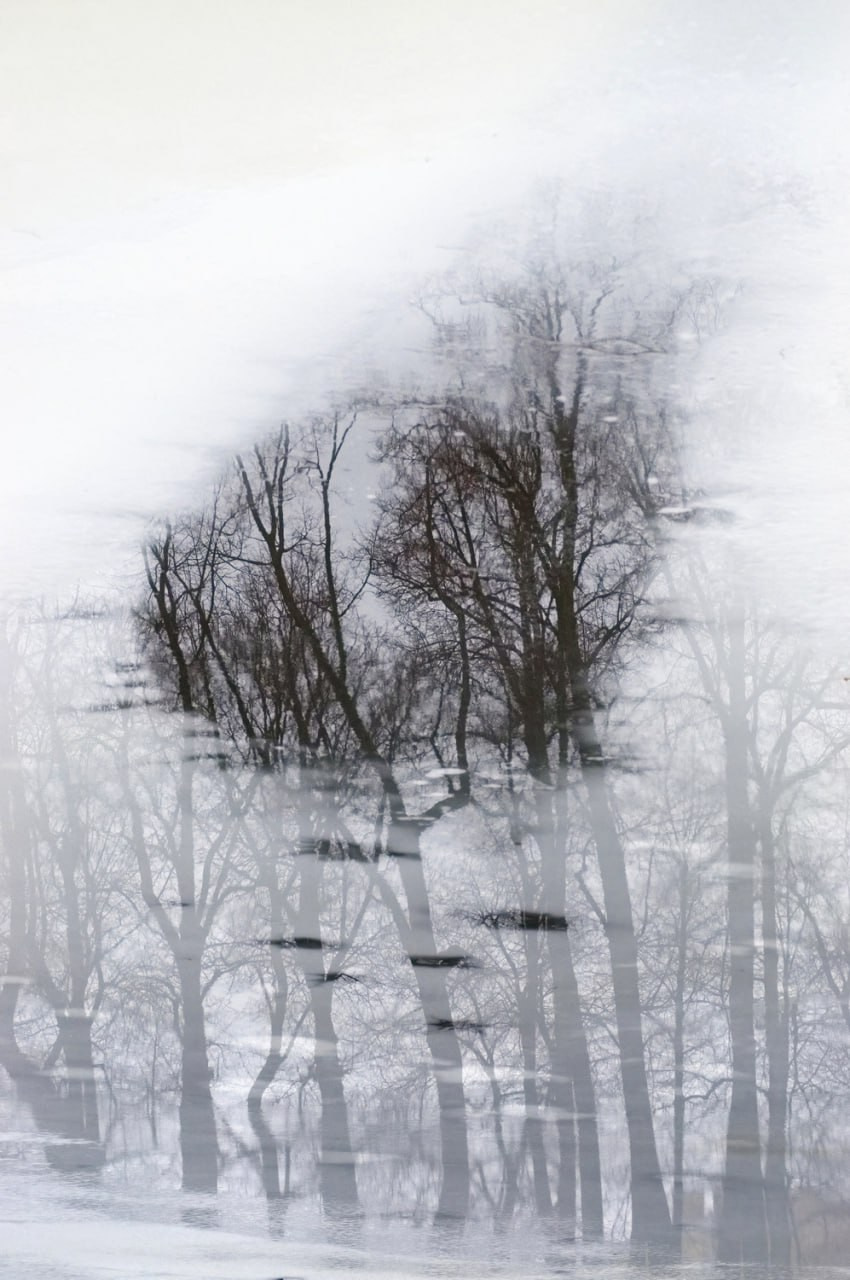 Вадим Шейдин. Photopolygon Mag