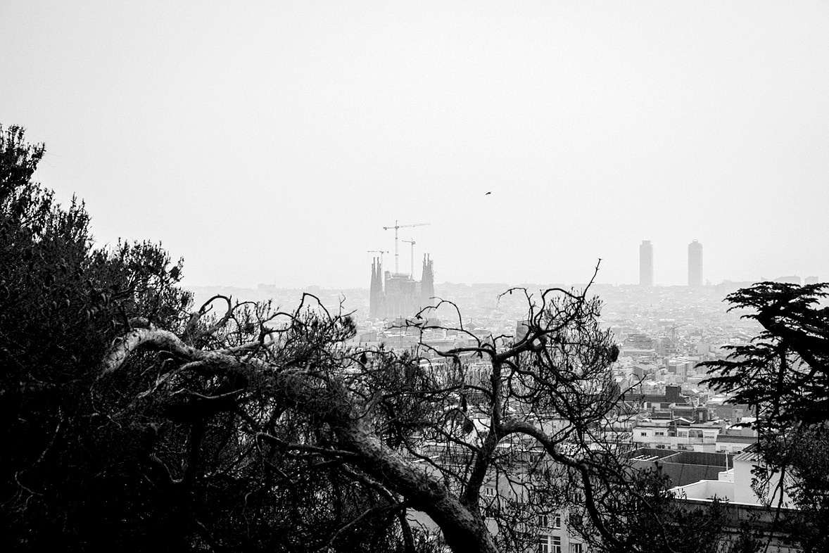 Испания. Портретный фотограф Алена Новгородцева