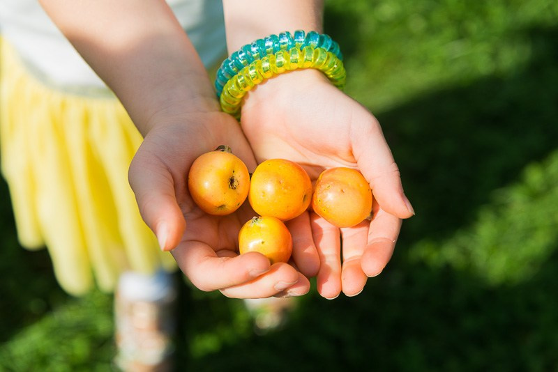 Family photoshoot in the nature, Slovenia. Wedding and Family Photographer in Slovenia