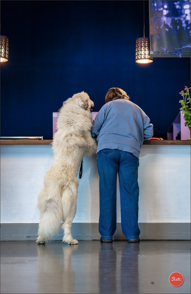 Expo canine 🇫🇷 Valence 02-03/05/2026