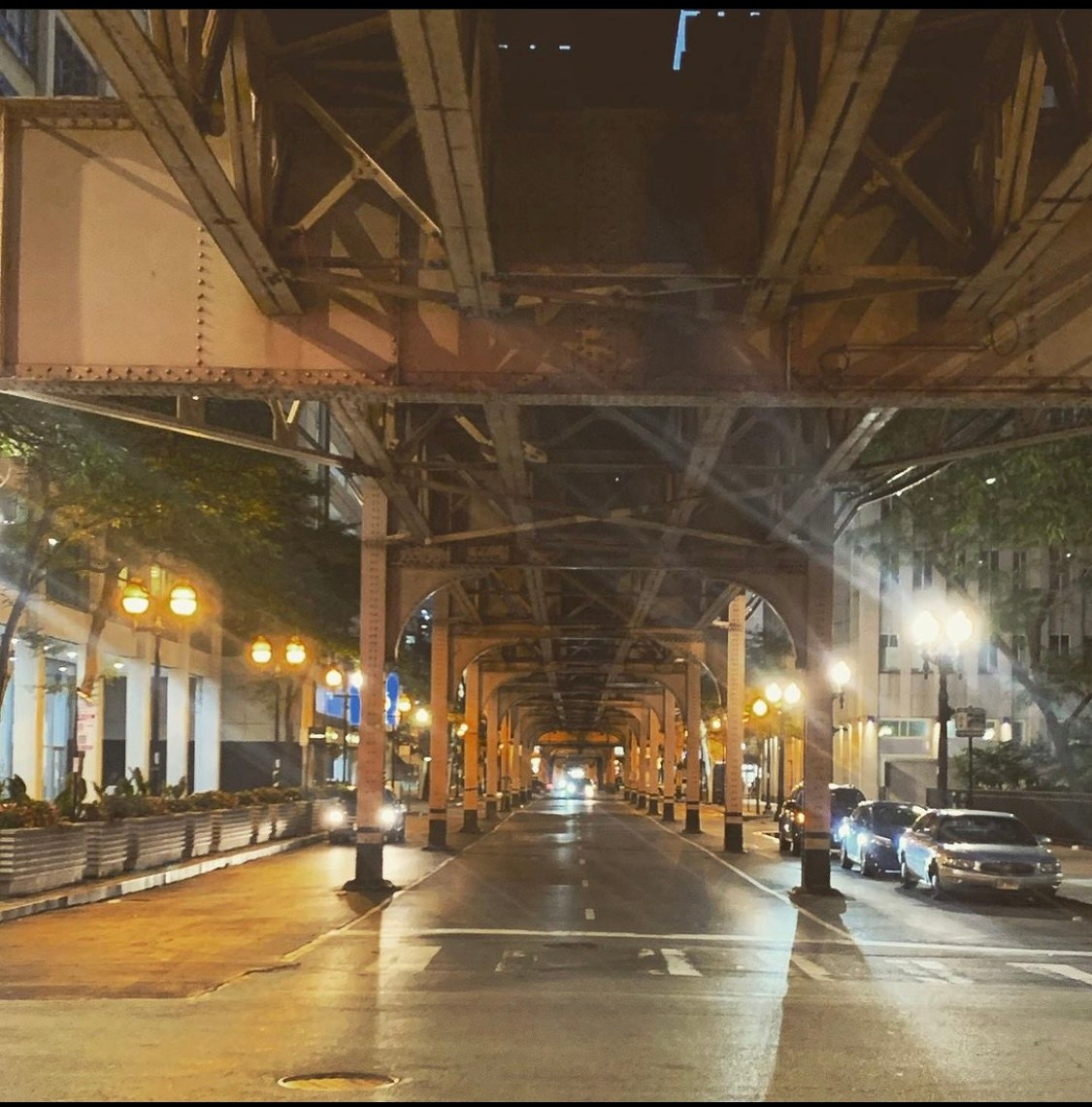 Lens Work From the Field 3