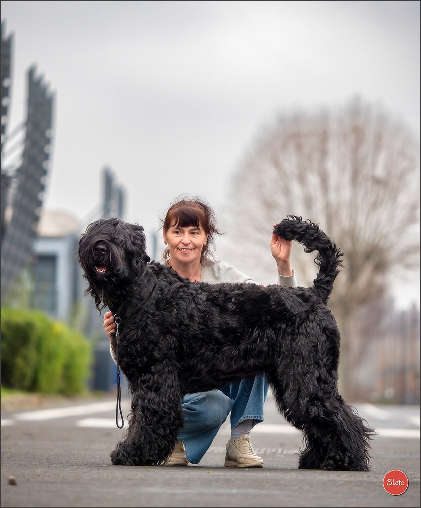 Exposition Canine à 🇫🇷 PARIS 12/01/2025. Photographe à Strasbourg | Portraits, Studio, Enfants, Événements