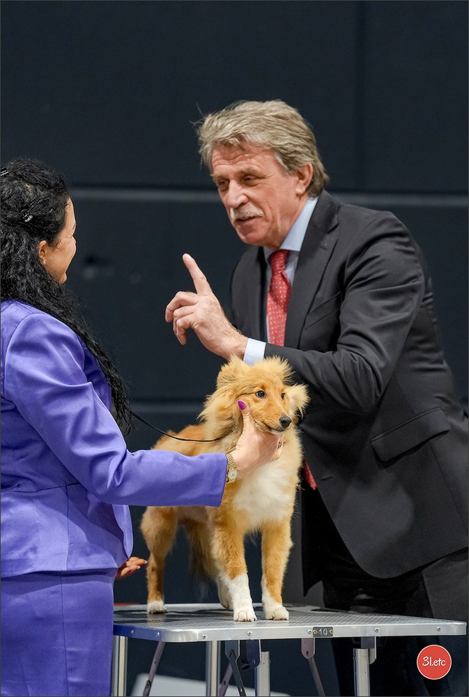 🇱🇺 LUXEMBOURG 🇱🇺 International Dog Show 4-5/04/2026. Photographe à Strasbourg | Portraits, Studio, Enfants, Événements