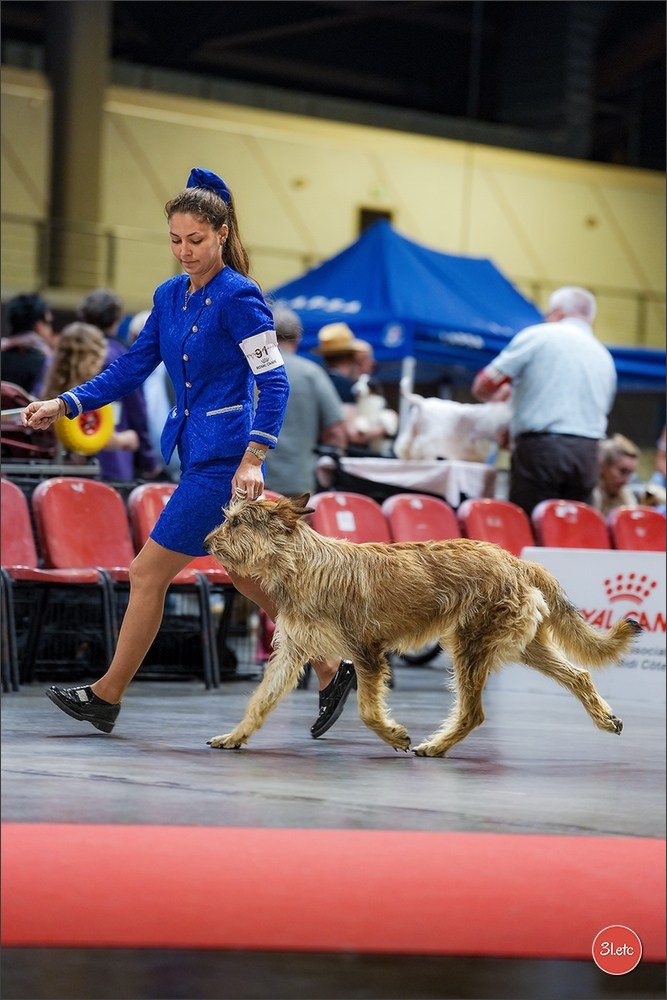 Expo canine 🇫🇷 Martigues 18-19/04/2026