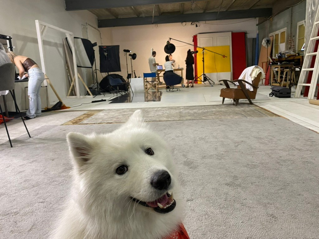 Studio Photogenic. Commercial and studio photographer in Belgrade