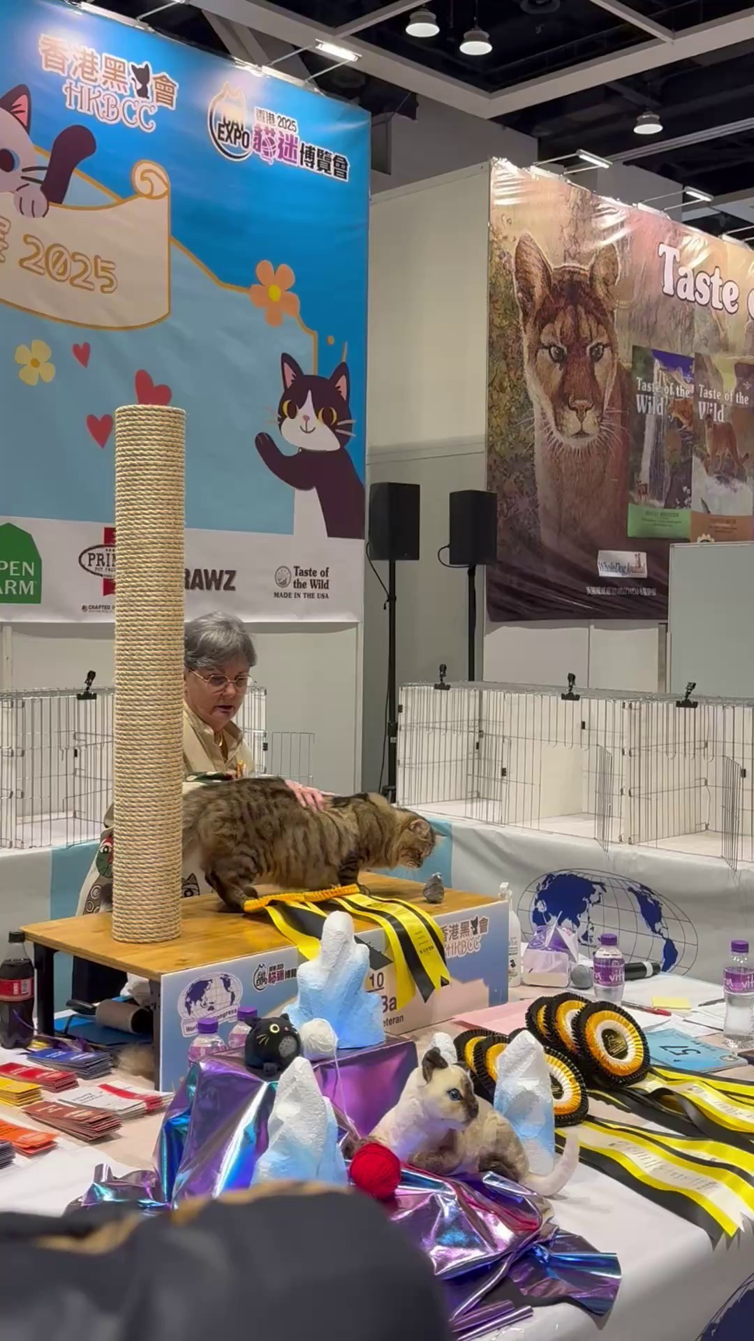 LEMON GREEN SIBERIANS CHUDO