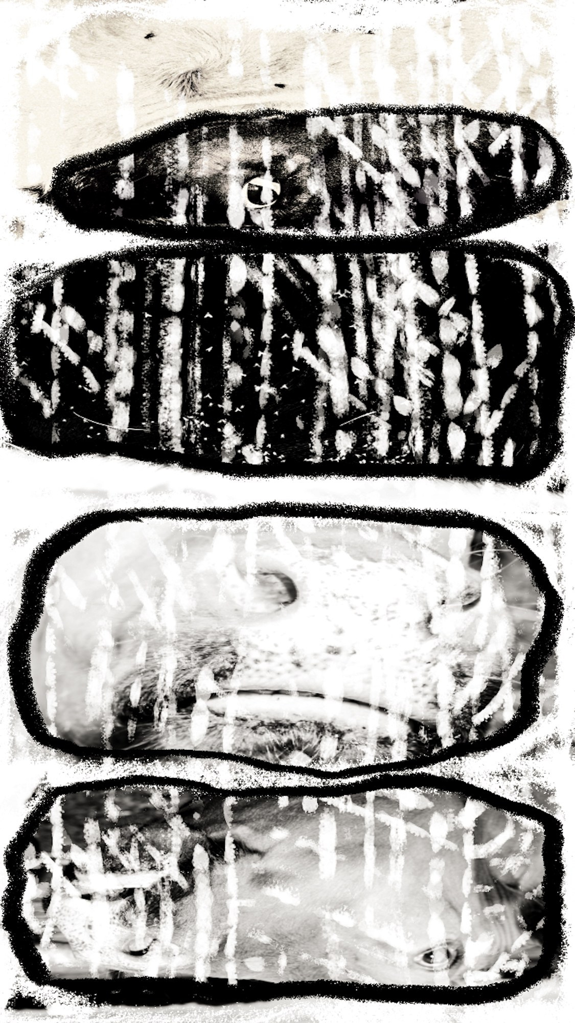 Photography’ Clipping. Ekaterina Tsurkina-Appina Photography Canada