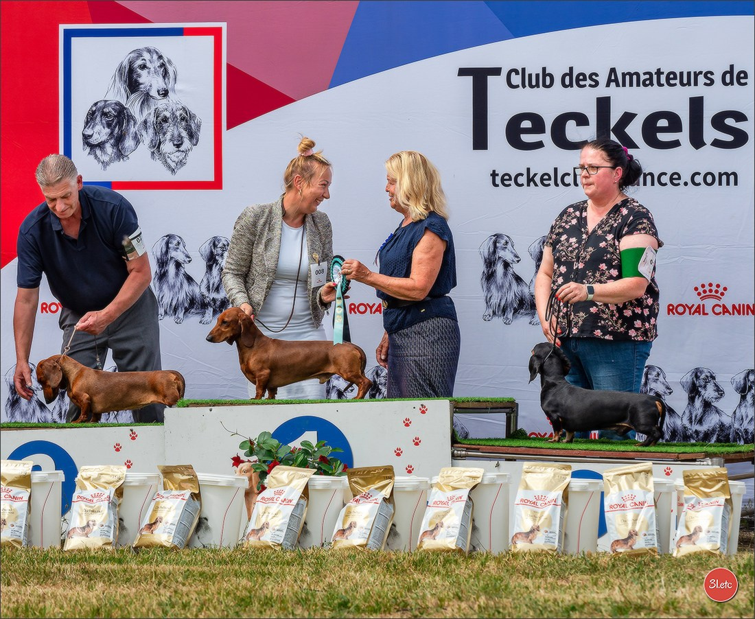 Expo canine (Teckel) Strasbourg Hoerdt  🇫🇷  5-6/07/2025. Photographe à Strasbourg | Portraits, Studio, Enfants, Événements