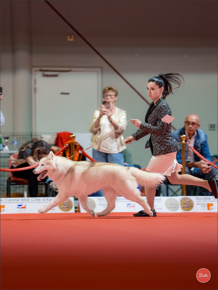 Expo canine 🇫🇷 Martigues 18-19/04/2026