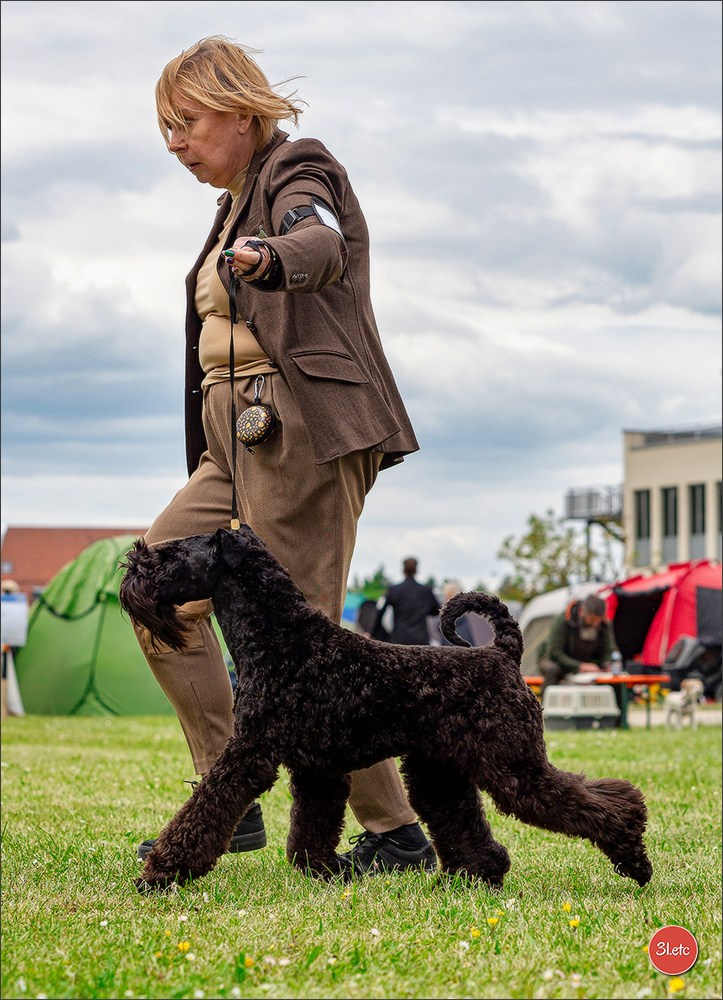 Dog Show Rieden 🇩🇪 16-18/05/2025. Photographe à Strasbourg | Portraits, Studio, Enfants, Événements