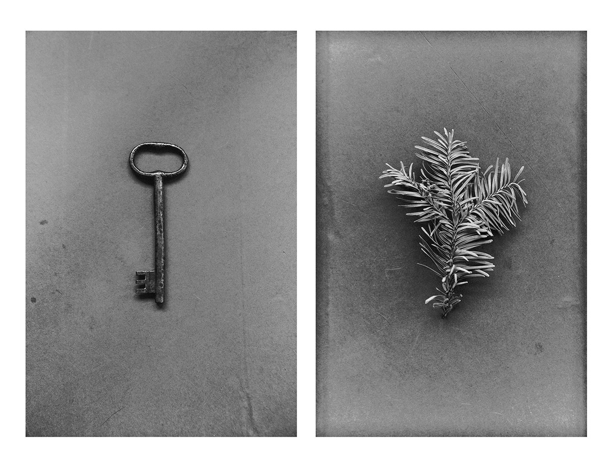 Catalogue of Forgone Objects. Jana Gertz