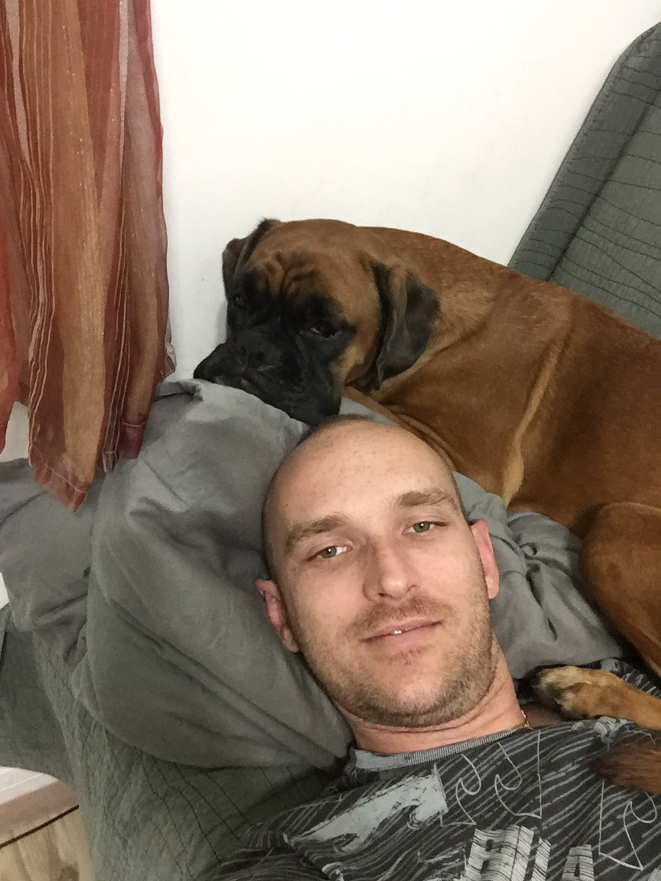 My ״Star״ Boxer Dog