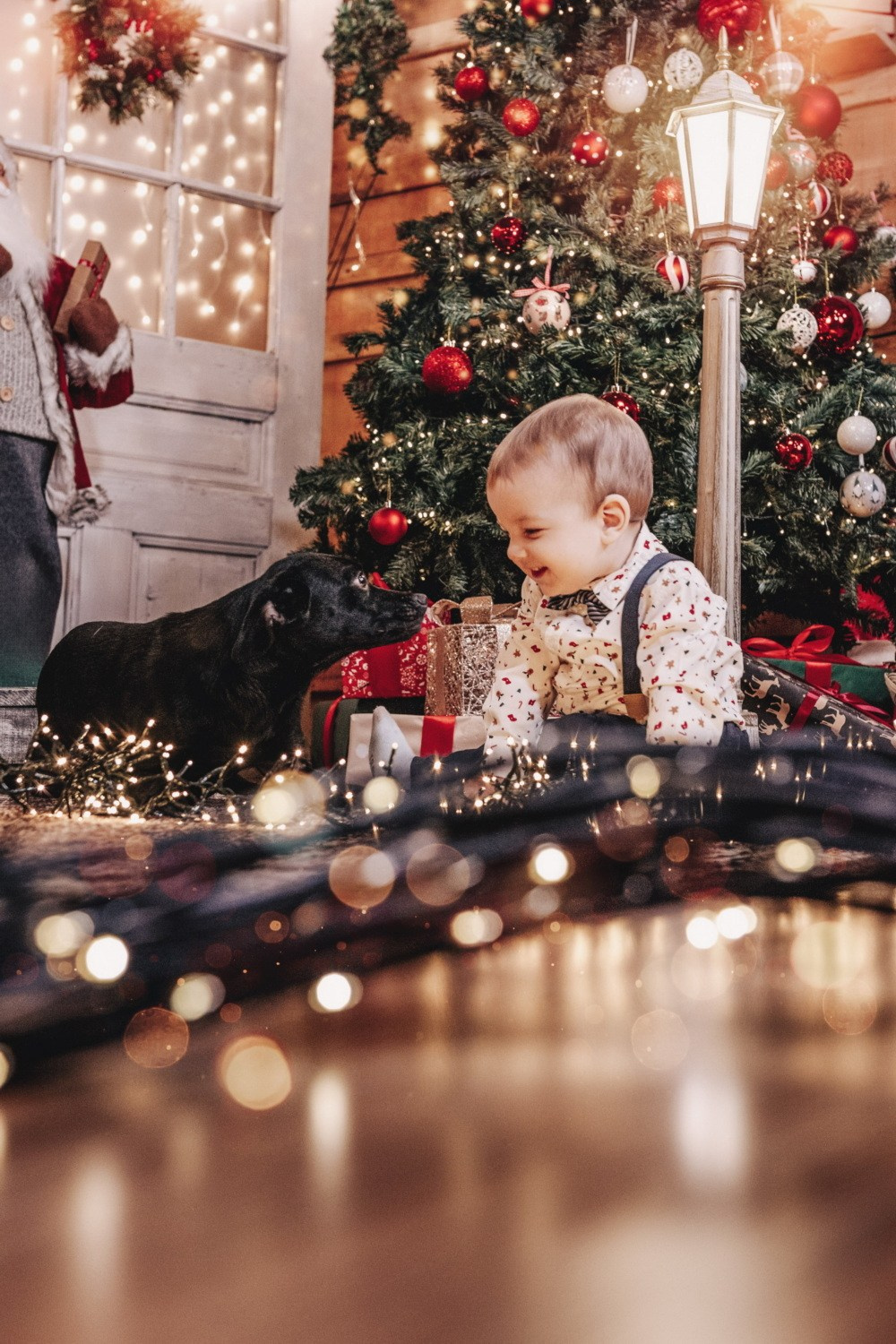 NOVOGODIŠNJA FOTOGRAFISANJA. Fotografi iz Backog Petrovca David i Andrea Stojanovic