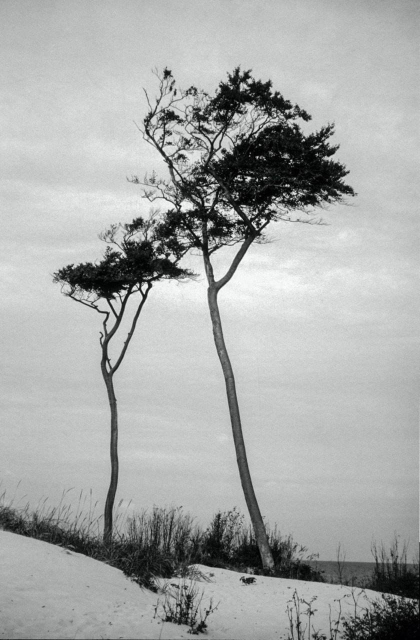 Sacra Natura. Katerina Kiper Photography