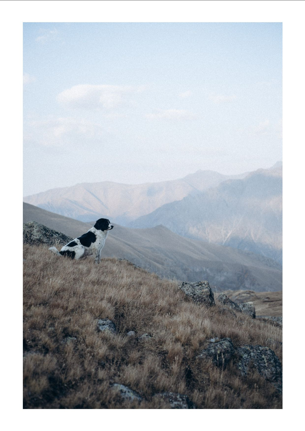 Открытки. Anita_photo