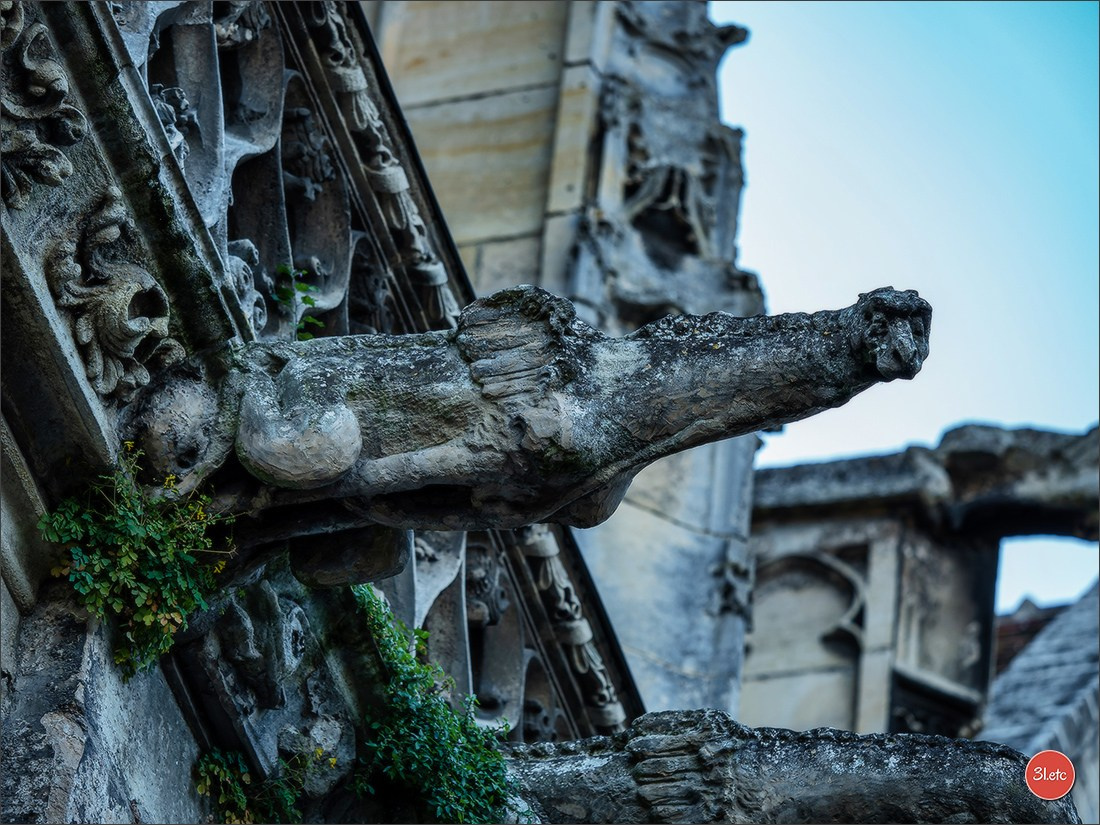 Margny-lès-Compiègne. Photographe à Strasbourg | Portraits, Studio, Enfants, Événements