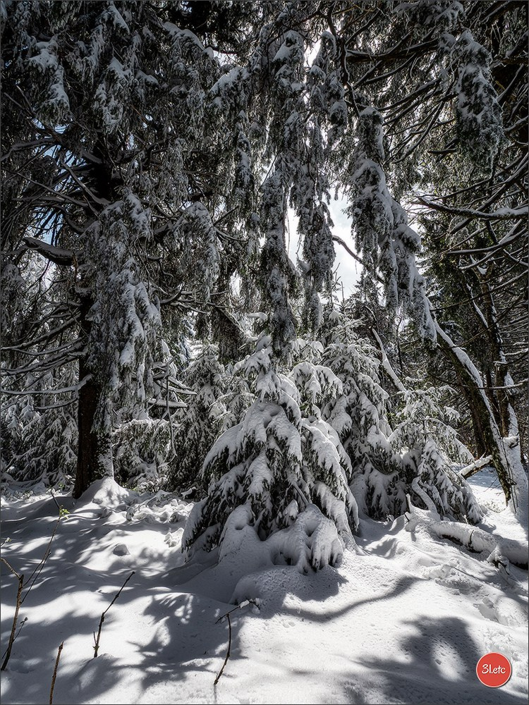 Temps étonnant fin avril en Alsace. Il a neigé. Photographe à Strasbourg | Portraits, Studio, Enfants, Événements