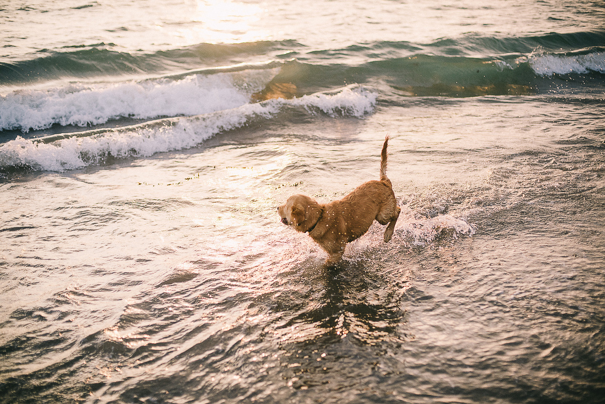 Босоногое Бали. Ksenia Marchand/ Lifestyle фотограф в Париже