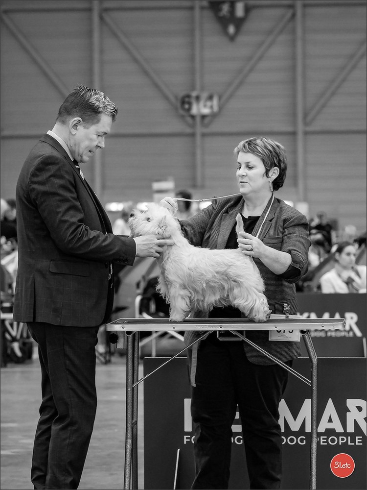 🇨🇭 Geneva 03-05.10.2025 🇨🇭. Photographe à Strasbourg | Portraits, Studio, Enfants, Événements