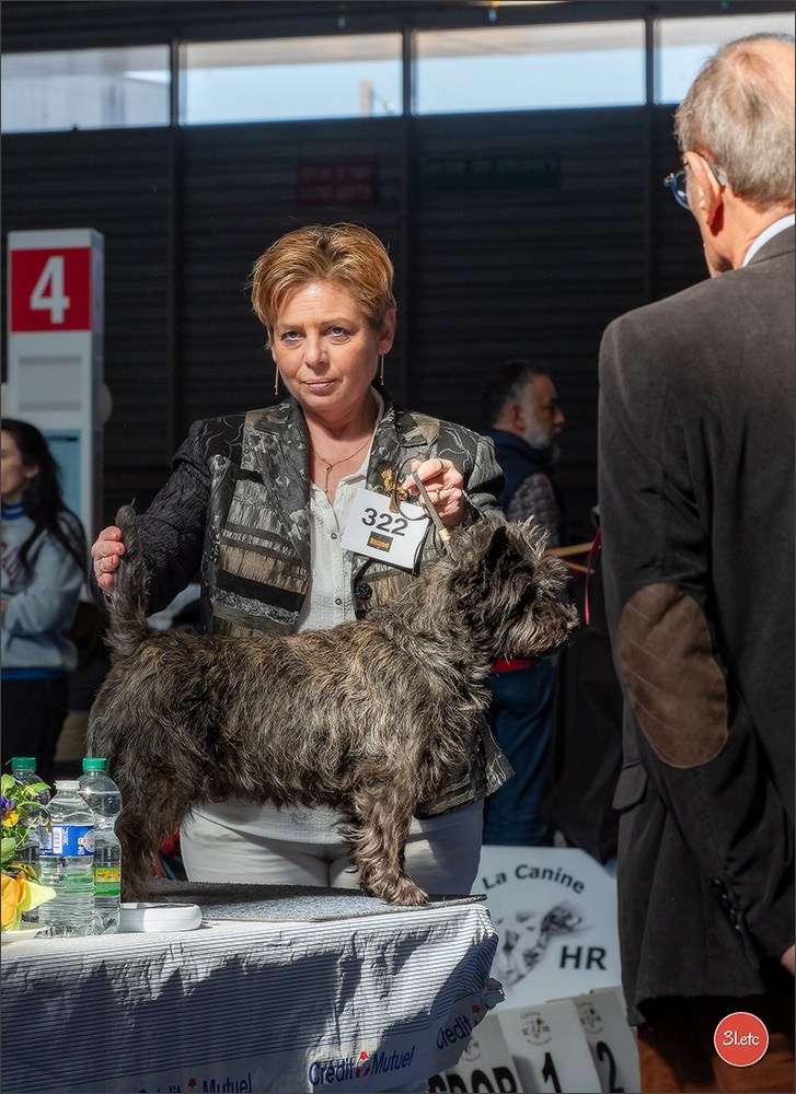Expo canine   🇫🇷   Mulhouse 5-6/04/2025. Photographe à Strasbourg | Portraits, Studio, Enfants, Événements