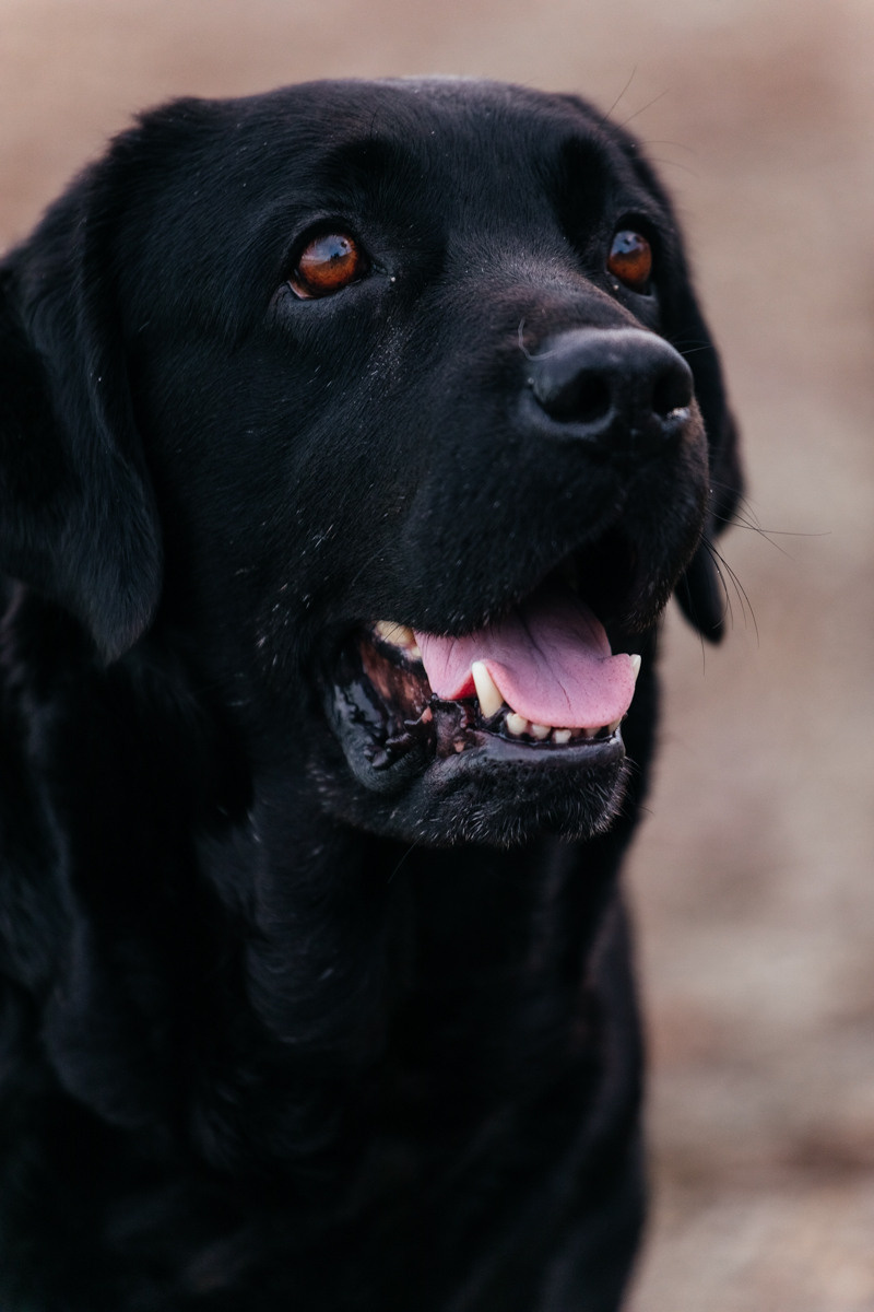 фотограф Ларнака