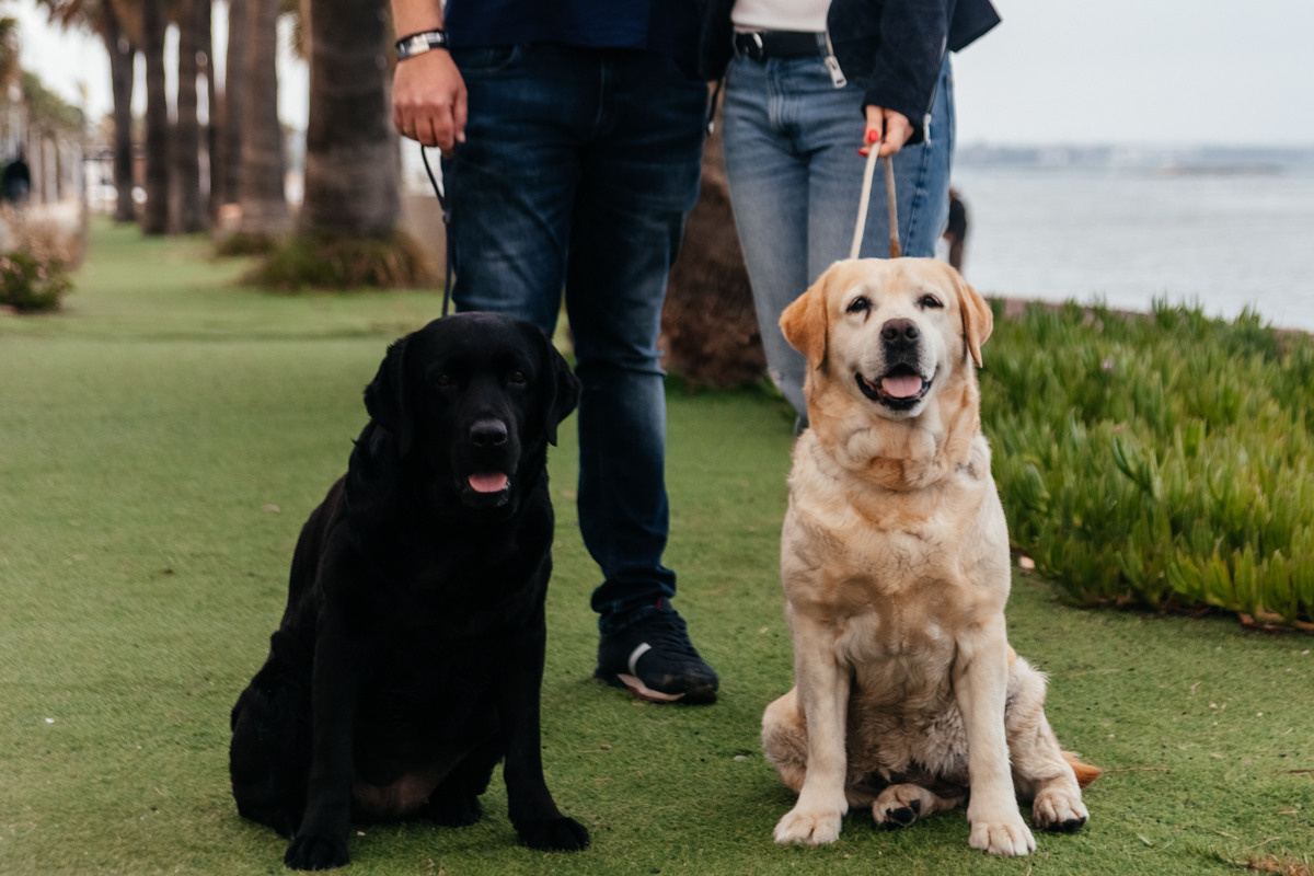 фотограф Ларнака