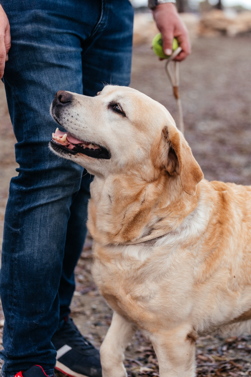 фотограф Ларнака
