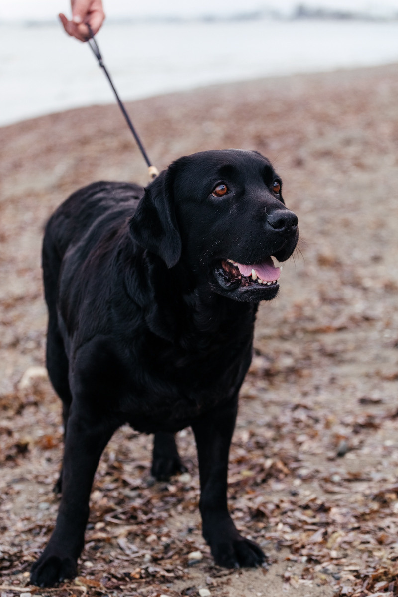 фотограф Ларнака